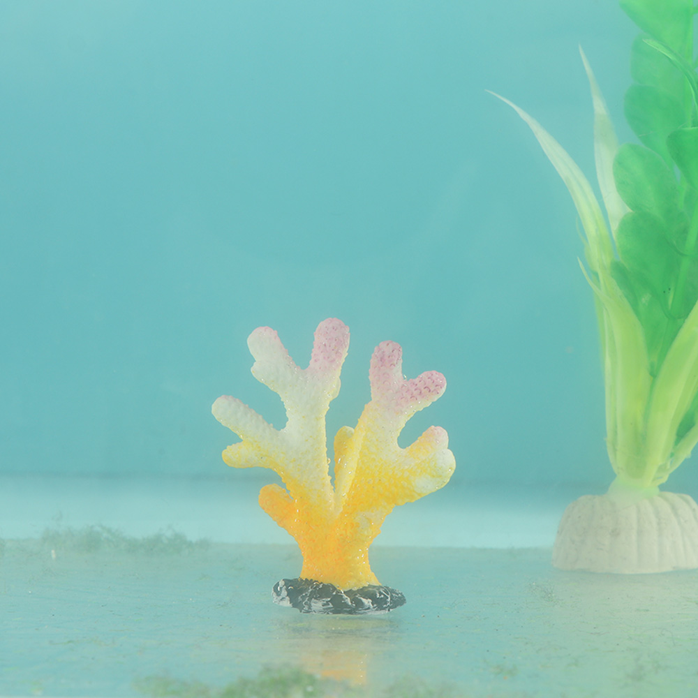 Künstliche Korallen Aquarium O – Home Decor Ikea Bewertung und Preis