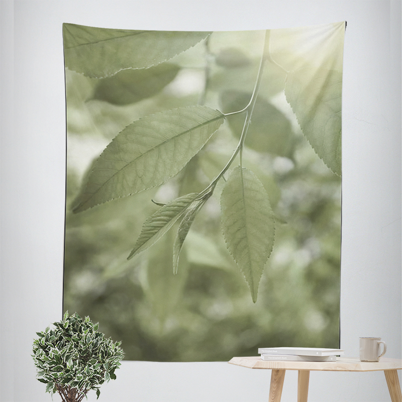 Haupt dekorationen Raum dekor  – Home Decor Y2K Bewertung und Preis